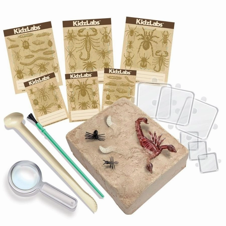 4M - KidzLabs Creepy Crawly Digging Kit