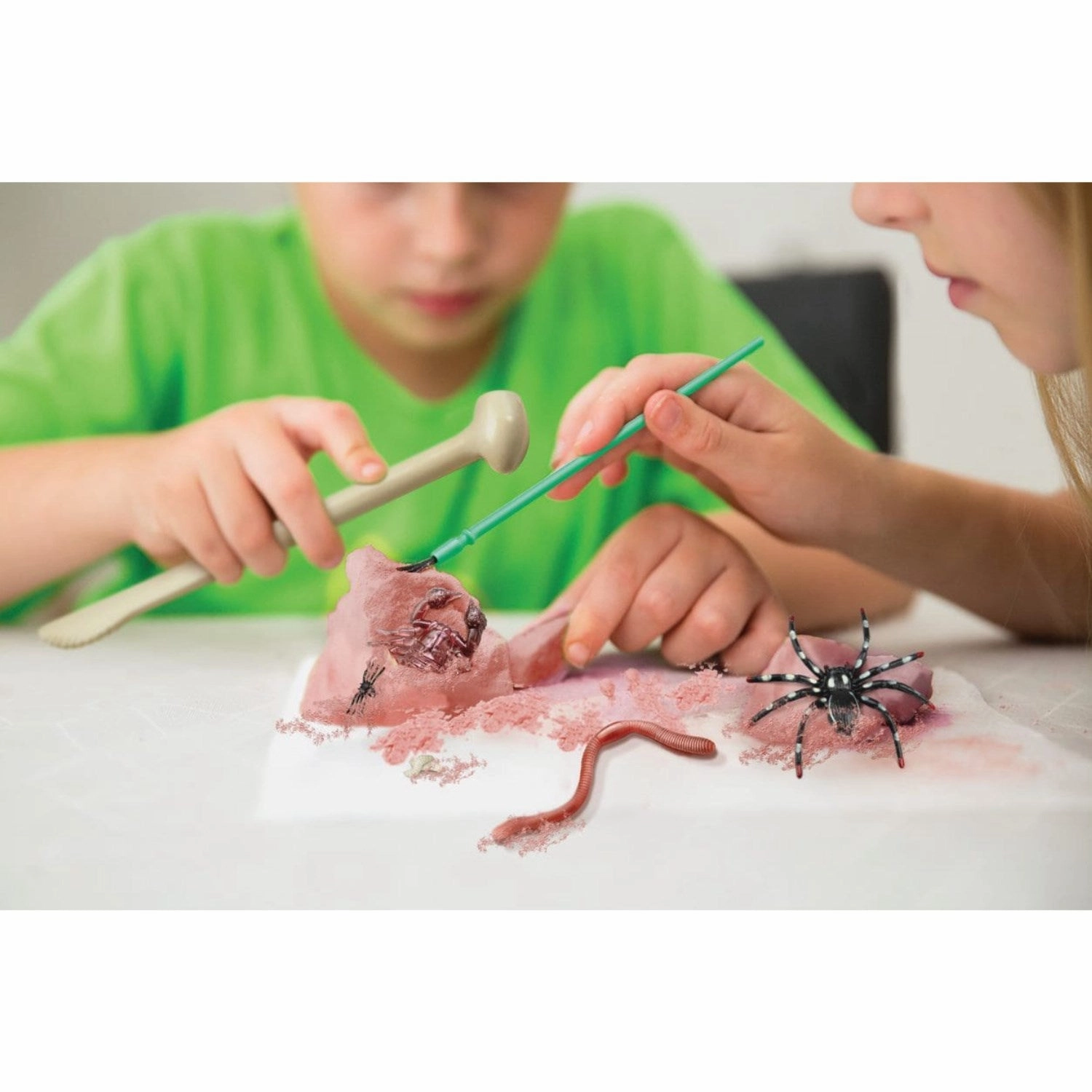 4M Kidzlabs / Creepy Crawly Digging Kit