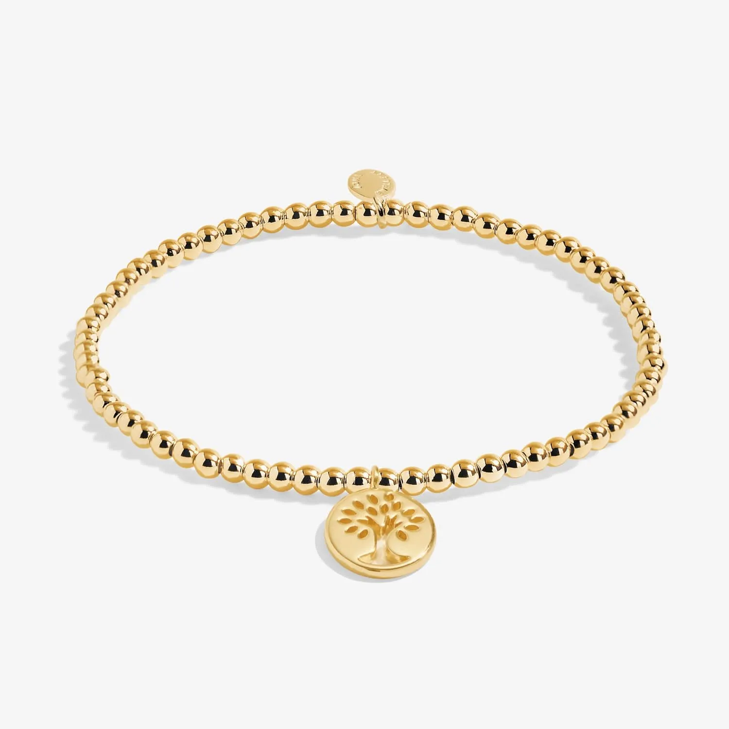 Un Petit Bracelet de Famille Plaqué Or 8222 Joma Jewellery