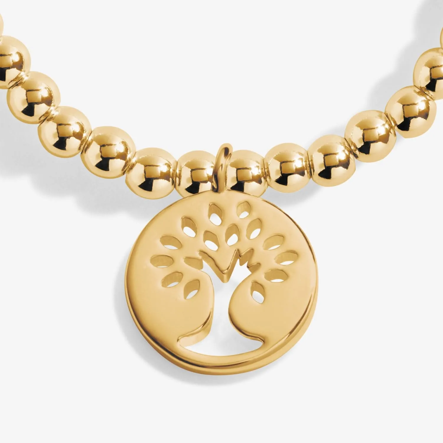 Un Petit Bracelet de Famille Plaqué Or 8222 Joma Jewellery