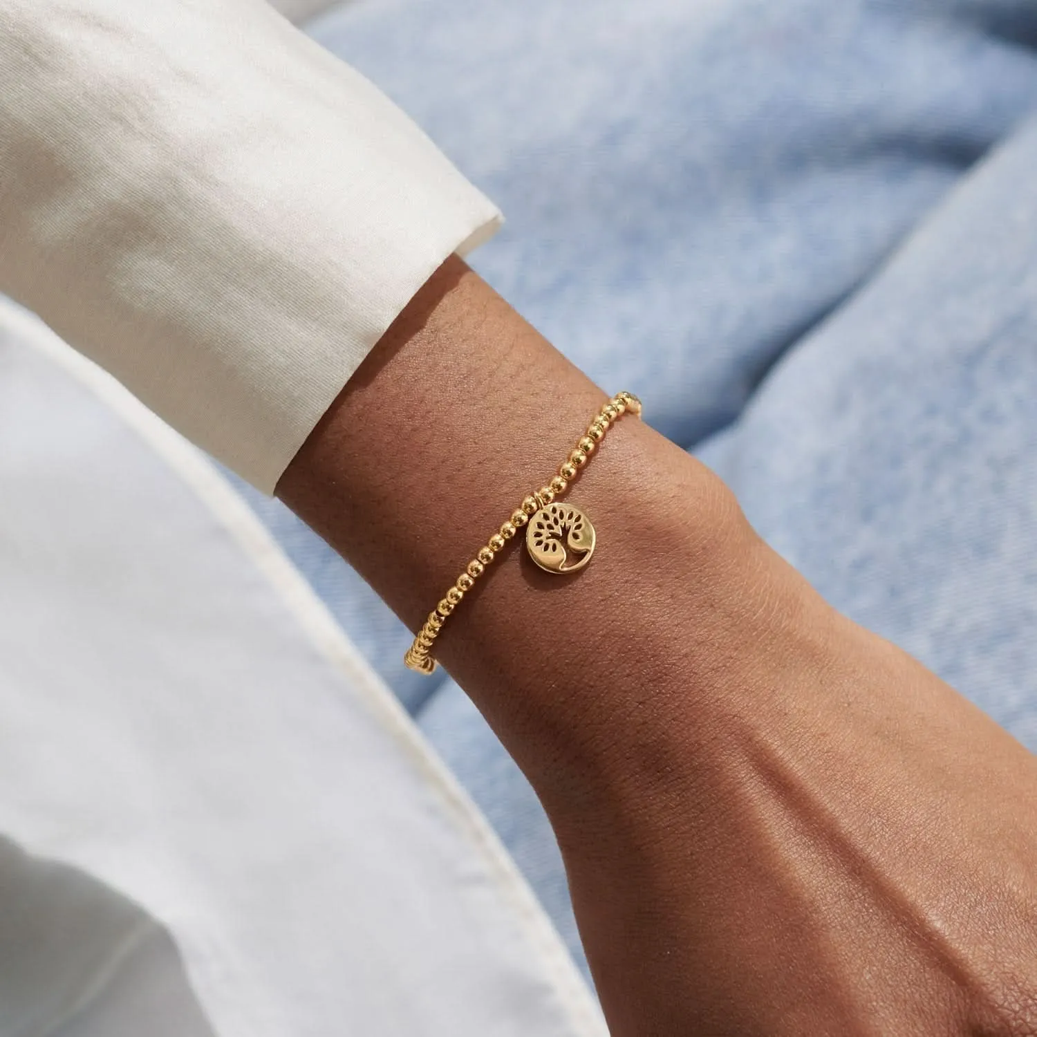Un Petit Bracelet de Famille Plaqué Or 8222 Joma Jewellery