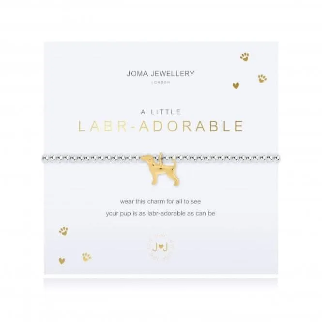 Un petit bracelet extensible Labradorable argenté de 17,5 cm 4300 Joma Jewellery
