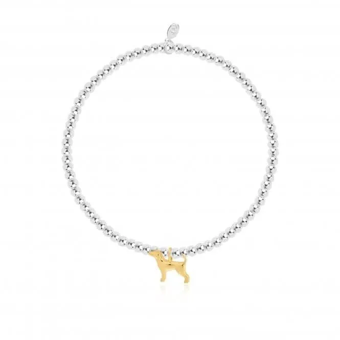 Un petit bracelet extensible Labradorable argenté de 17,5 cm 4300 Joma Jewellery