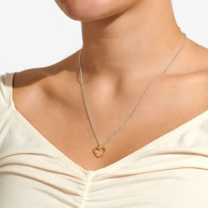 Un Petit Amour Force Collier Argenté Doré 46cm   5cm 6835 Joma Jewellery