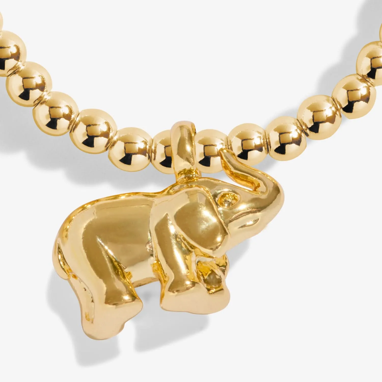 Bracelet en or plaqué Petit Éléphant Porte-Bonheur 8219 Joma Jewellery