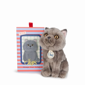 B.T. Chaps  Freddy The British Shorthair Floppy in Giftbox - 17cm - 6.5"