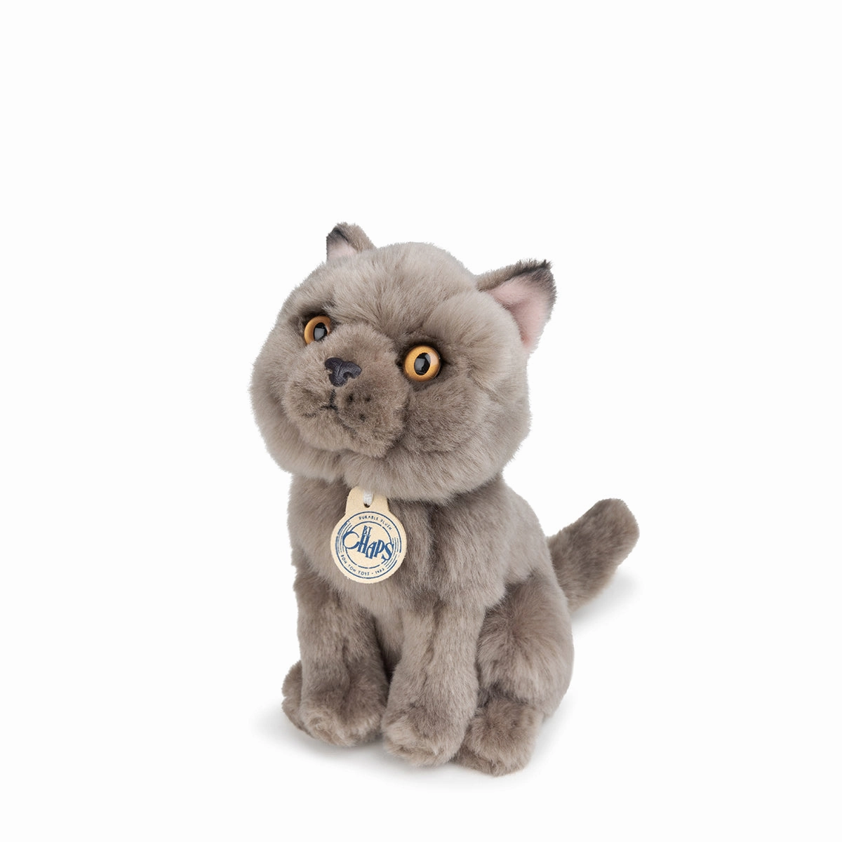 B.T. Chaps  Freddy The British Shorthair Floppy in Giftbox - 17cm - 6.5"