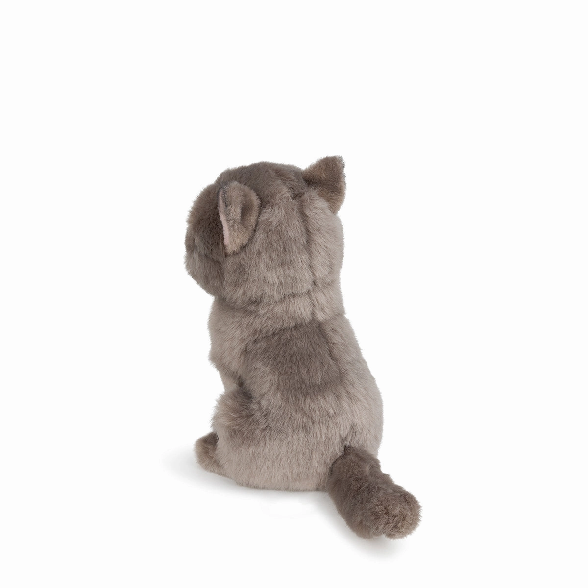 B.T. Chaps  Freddy The British Shorthair Floppy in Giftbox - 17cm - 6.5"