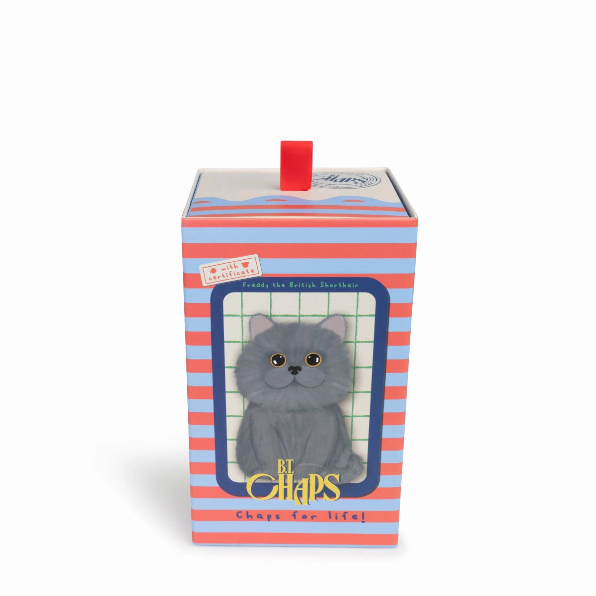 B.T. Chaps  Freddy The British Shorthair Floppy in Giftbox - 17cm - 6.5"