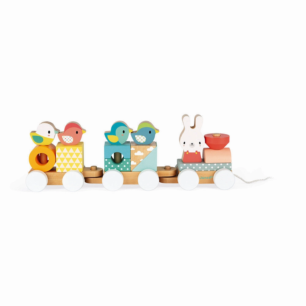 Babykids_Janod_Toys Janod Pure Train
