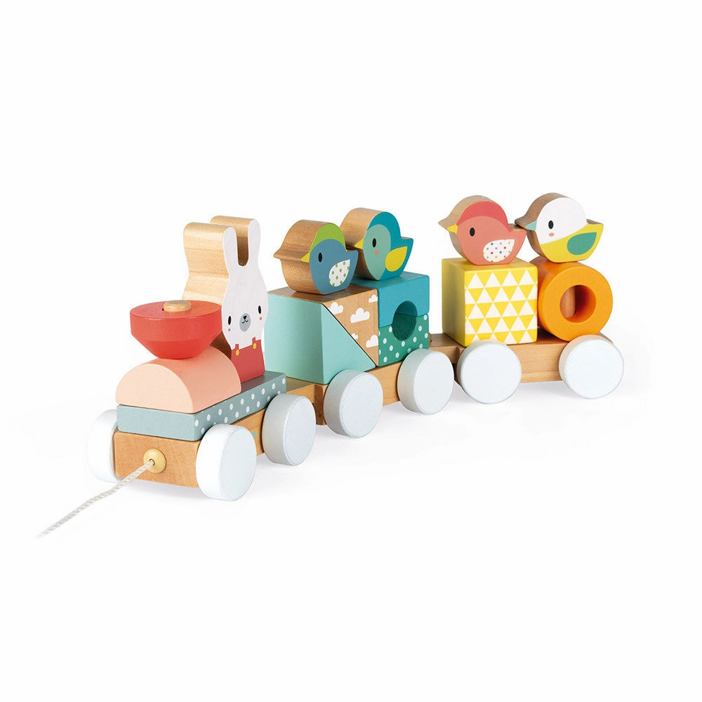 Babykids_Janod_Toys Janod Pure Train