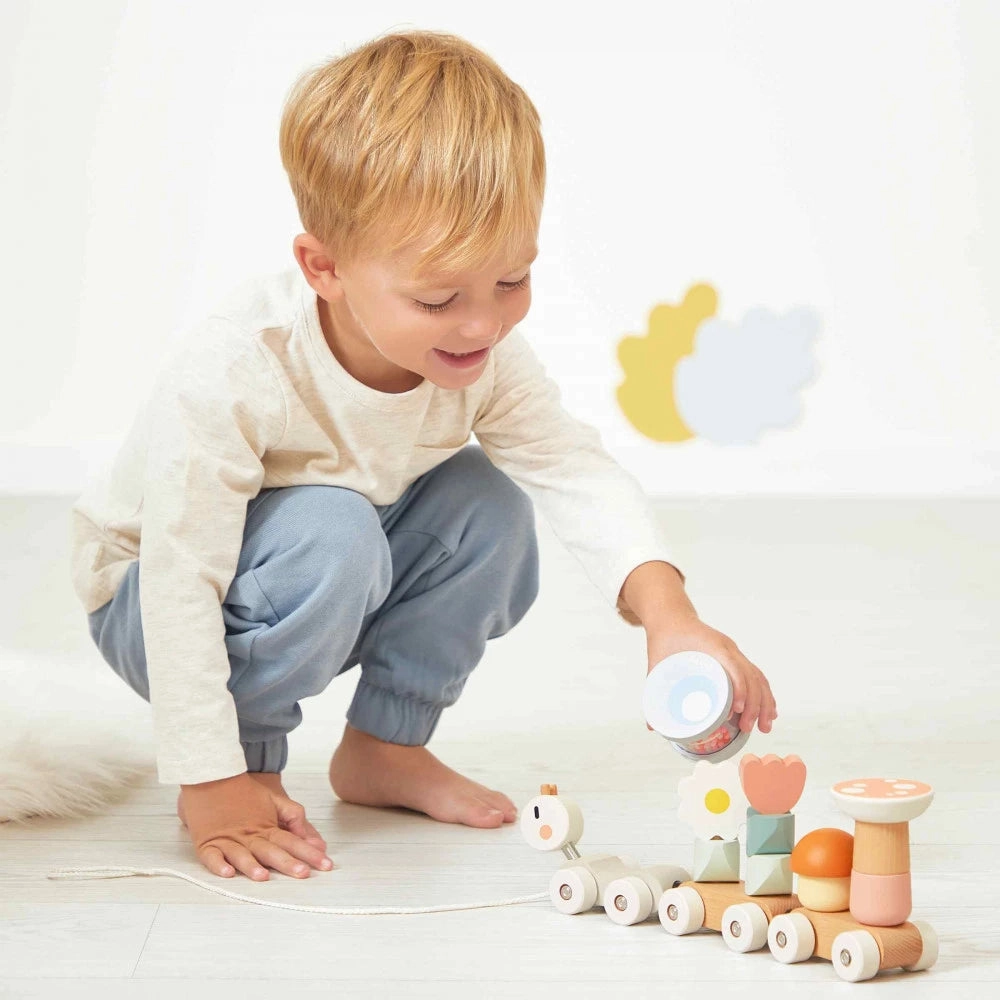 Babykids_Janod_Toys Janod Swc - Snail Train