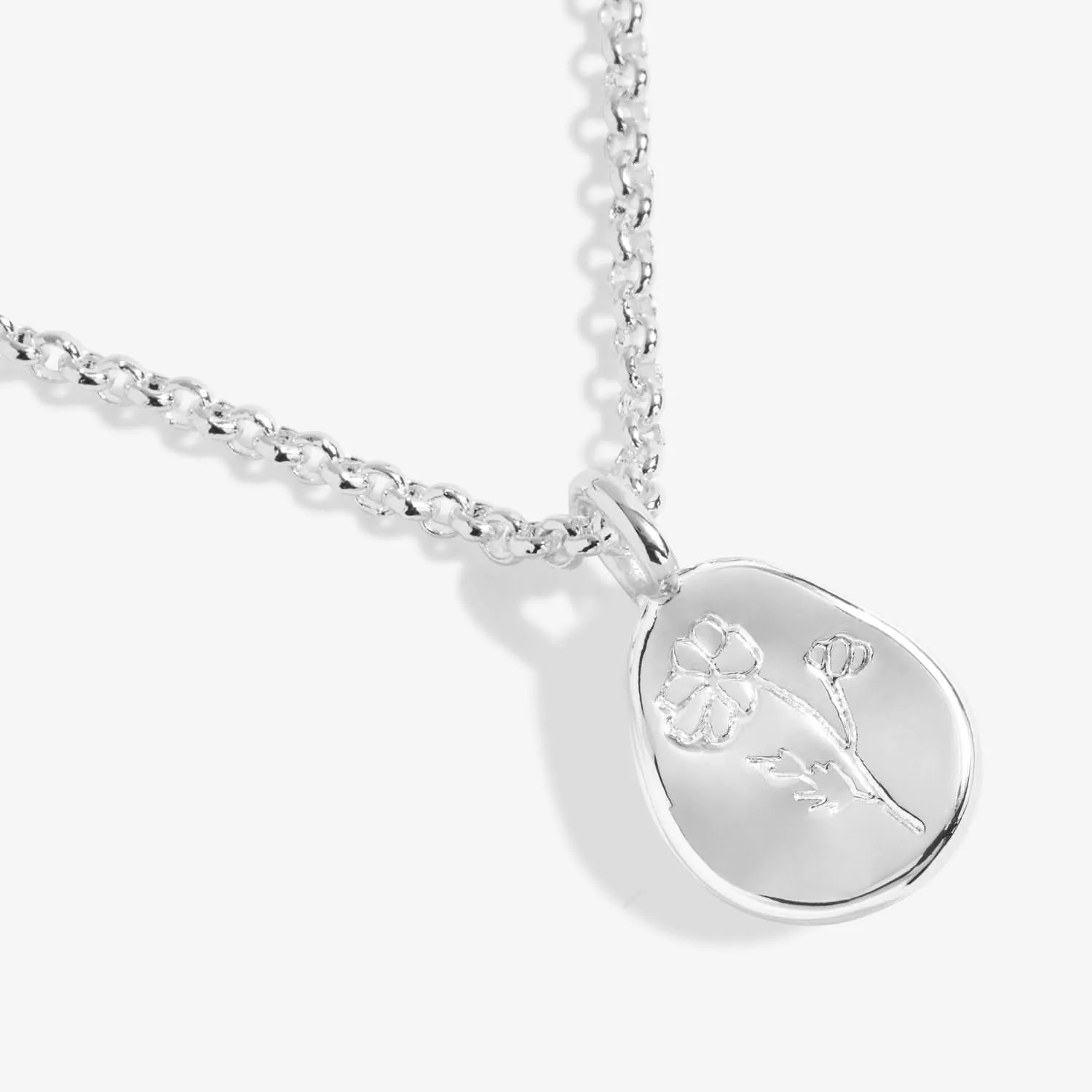 Collier en argent plaqué Cosmos d'octobre Fleur de naissance 7468 Joma Jewellery