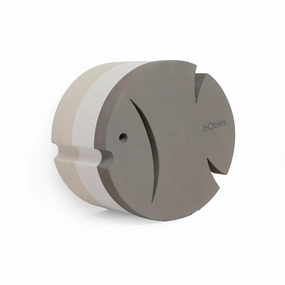 bObles Sand Grey Fish