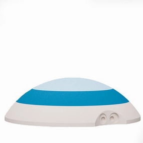 bObles Turtle Blue