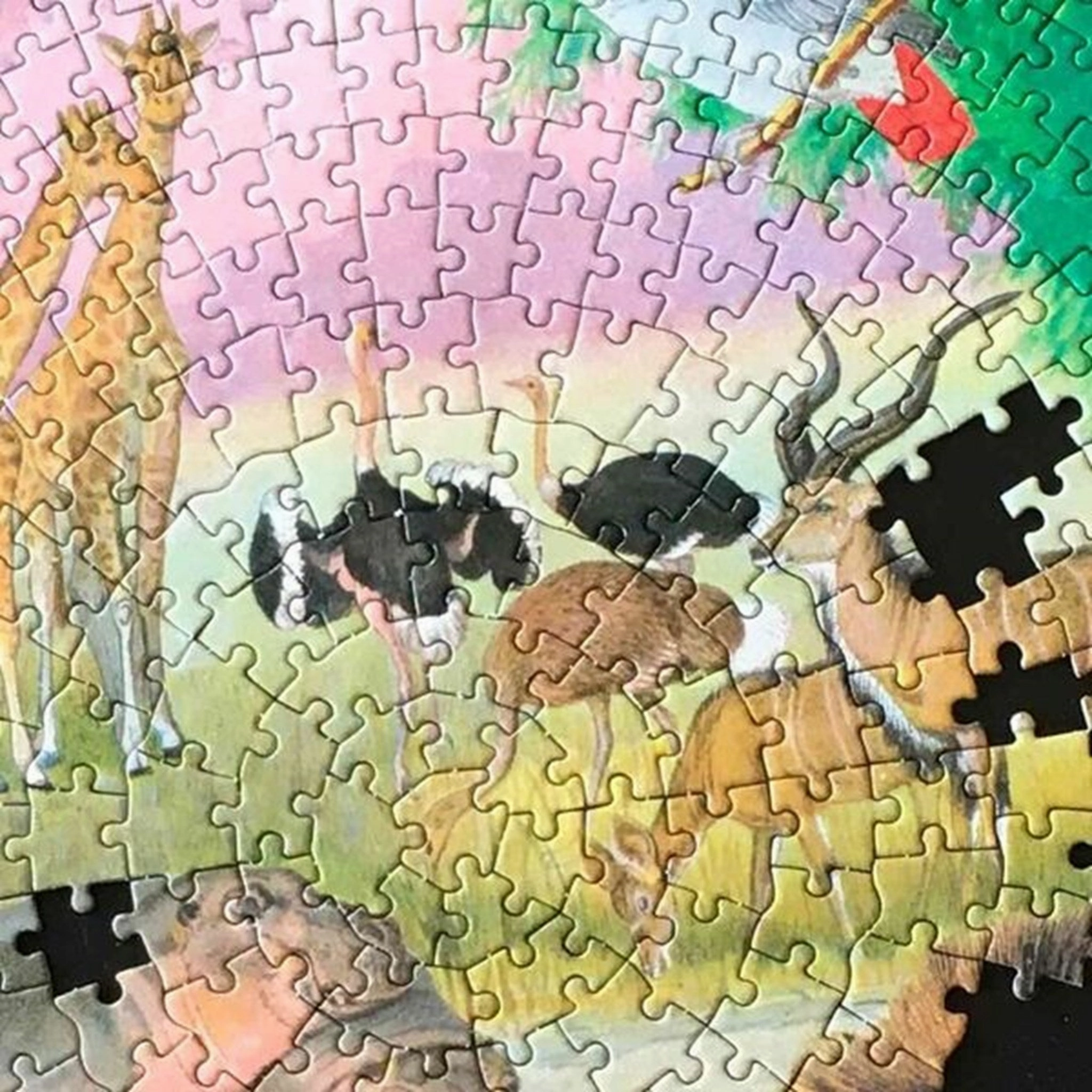 Eeboo Puzzle 1000 Pieces - Africa