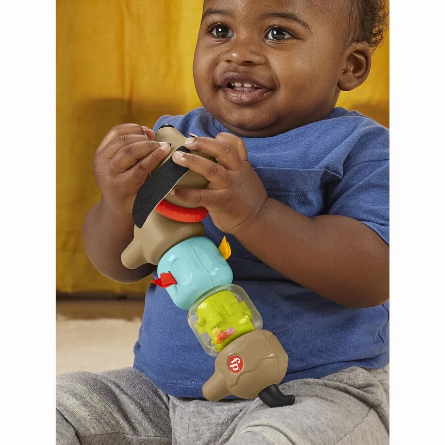 Fisher-Price Click & Spin Activity Dog