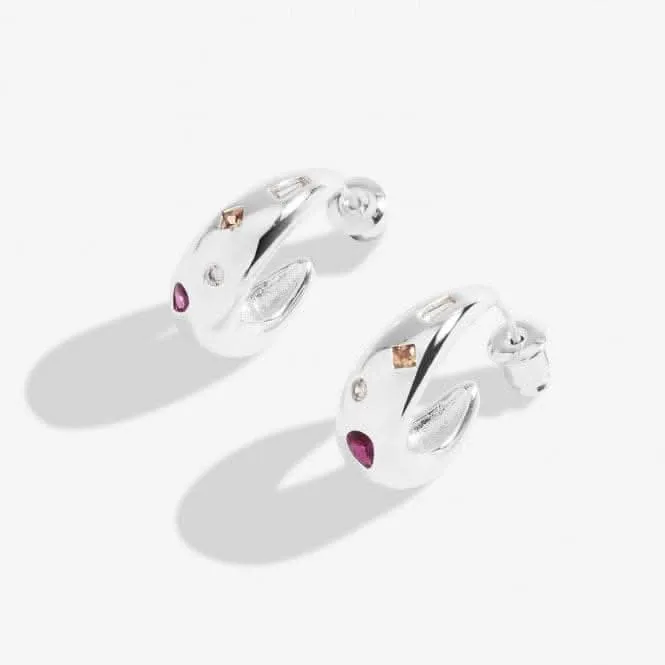 Boucles d'oreilles à anneaux plaqués argent avec amas de pierres précieuses brillantes 7185 Joma Jewellery