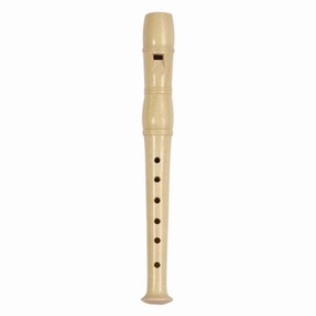 Goki Recorder