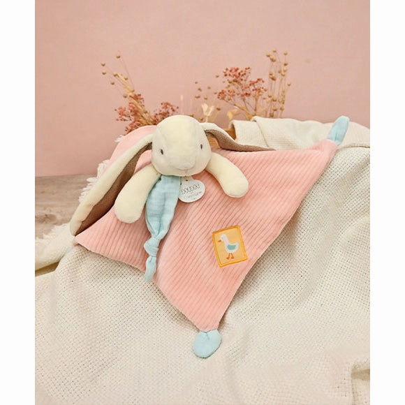 Histoire d'Ours Lapin Ciboulette - Doudou - 27cm