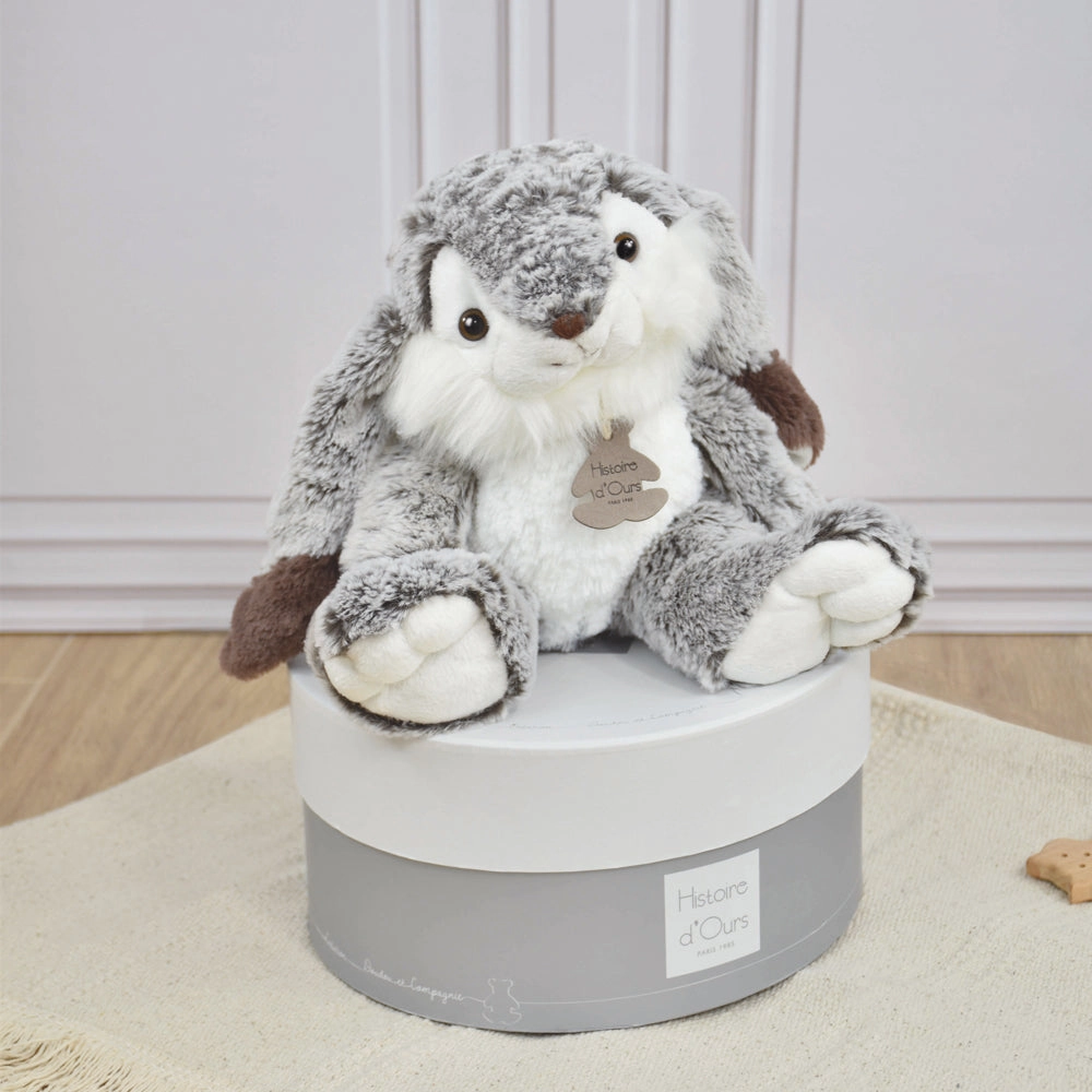 Histoire d'Ours Lapin Marius Rabbit
