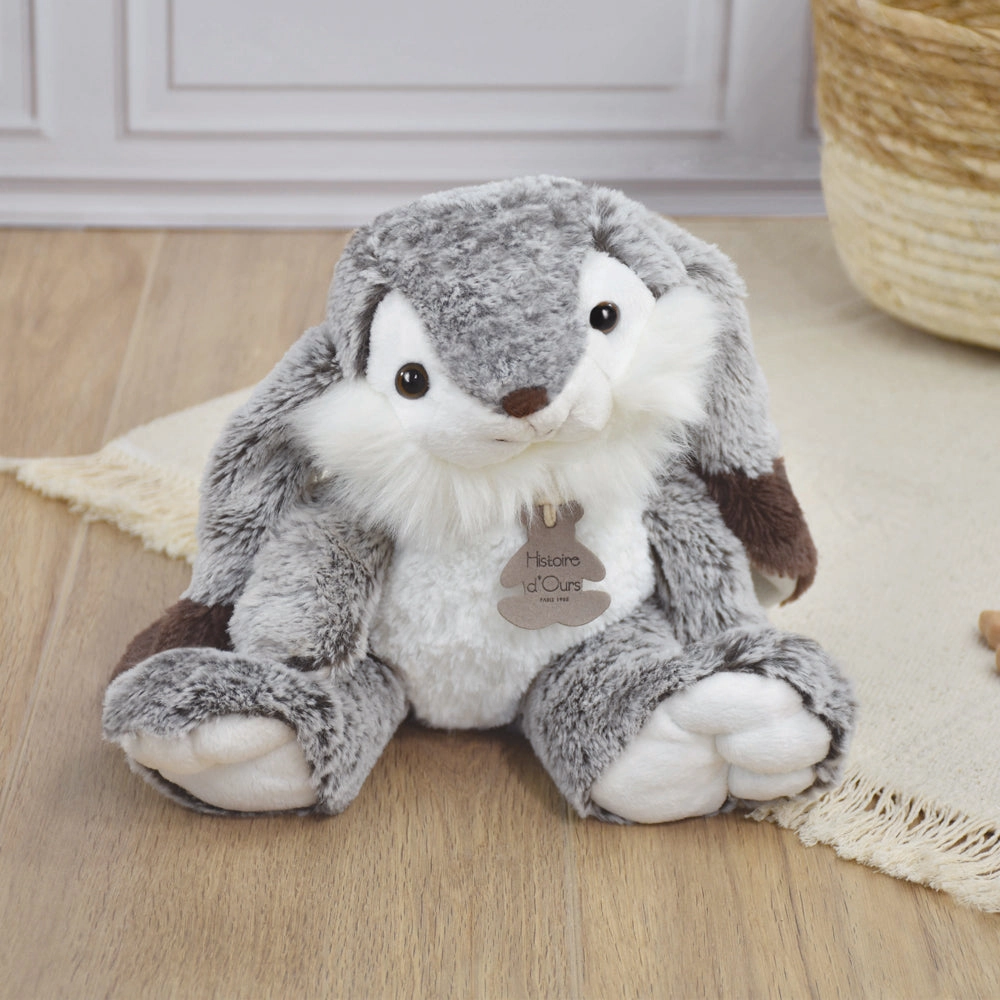 Histoire d'Ours Lapin Marius Rabbit