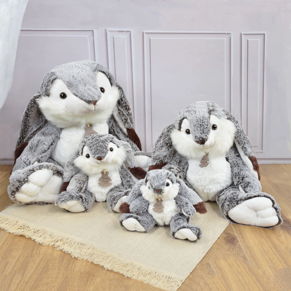 Histoire d'Ours Lapin Marius Rabbit