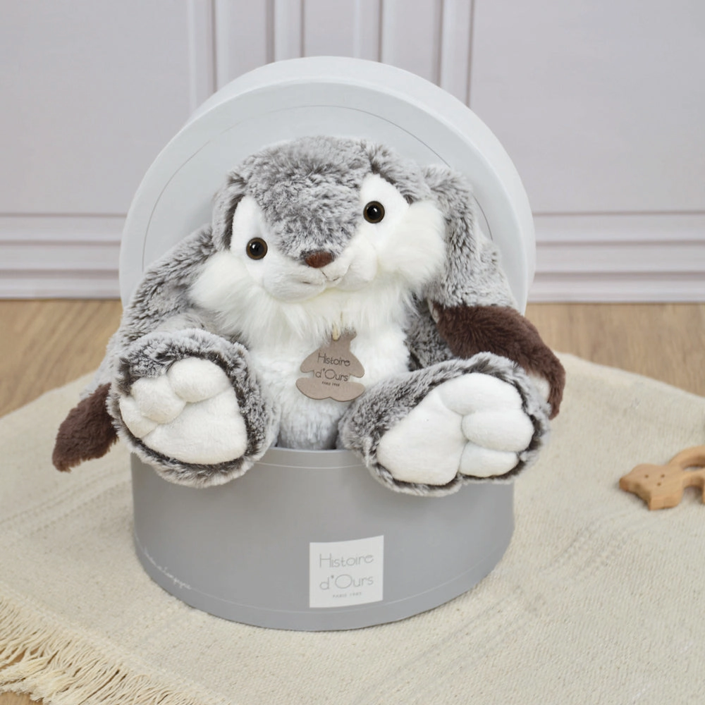 Histoire d'Ours Lapin Marius Rabbit