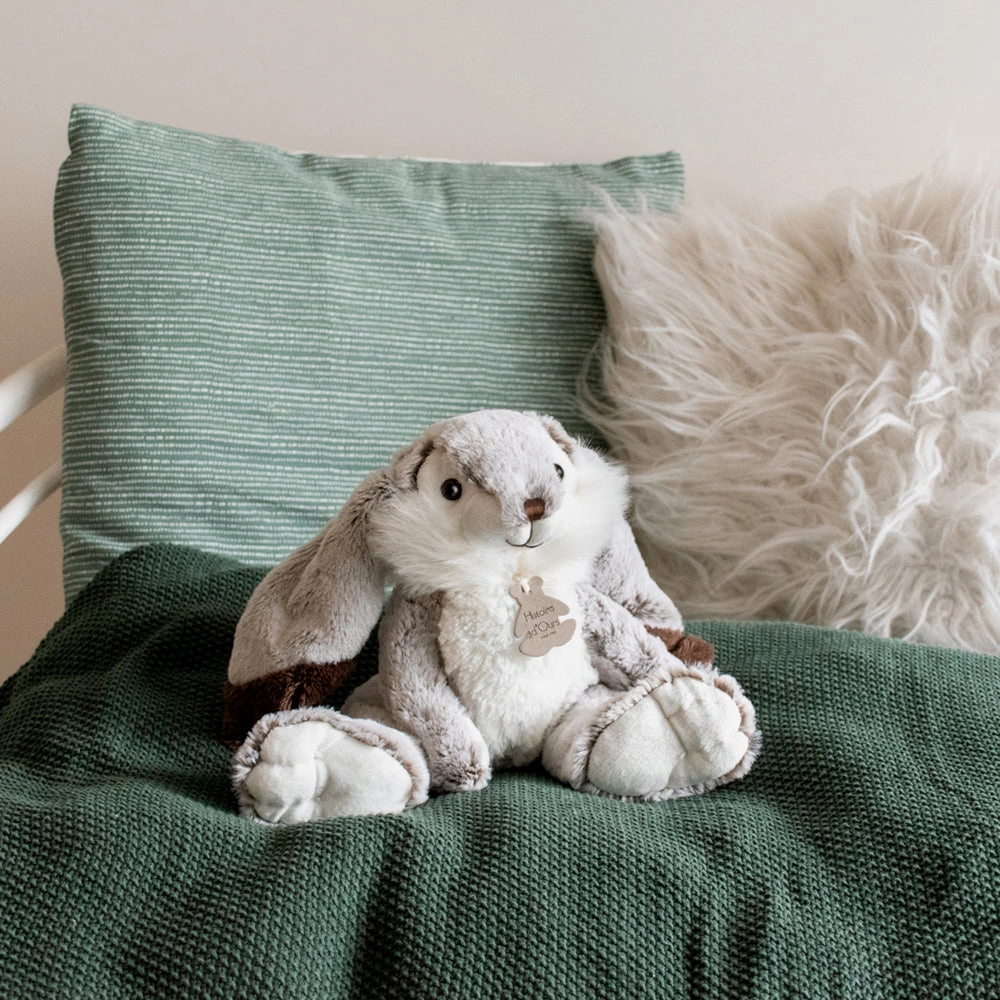 Histoire d'Ours Lapin Marius Rabbit