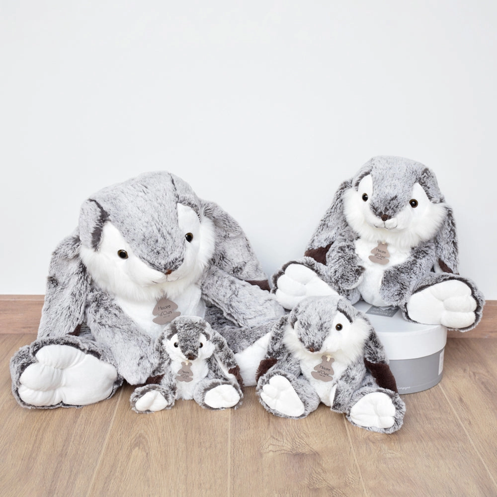 Histoire d'Ours Lapin Marius Rabbit
