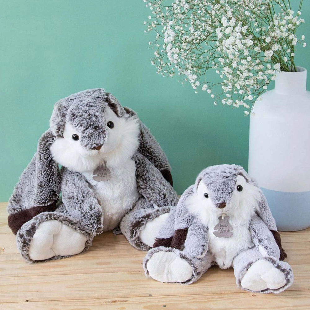 Histoire d'Ours Lapin Marius Rabbit