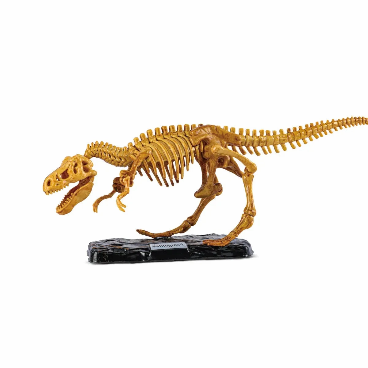 Kaper Kidz Toys Giant T-Rex Dig Site