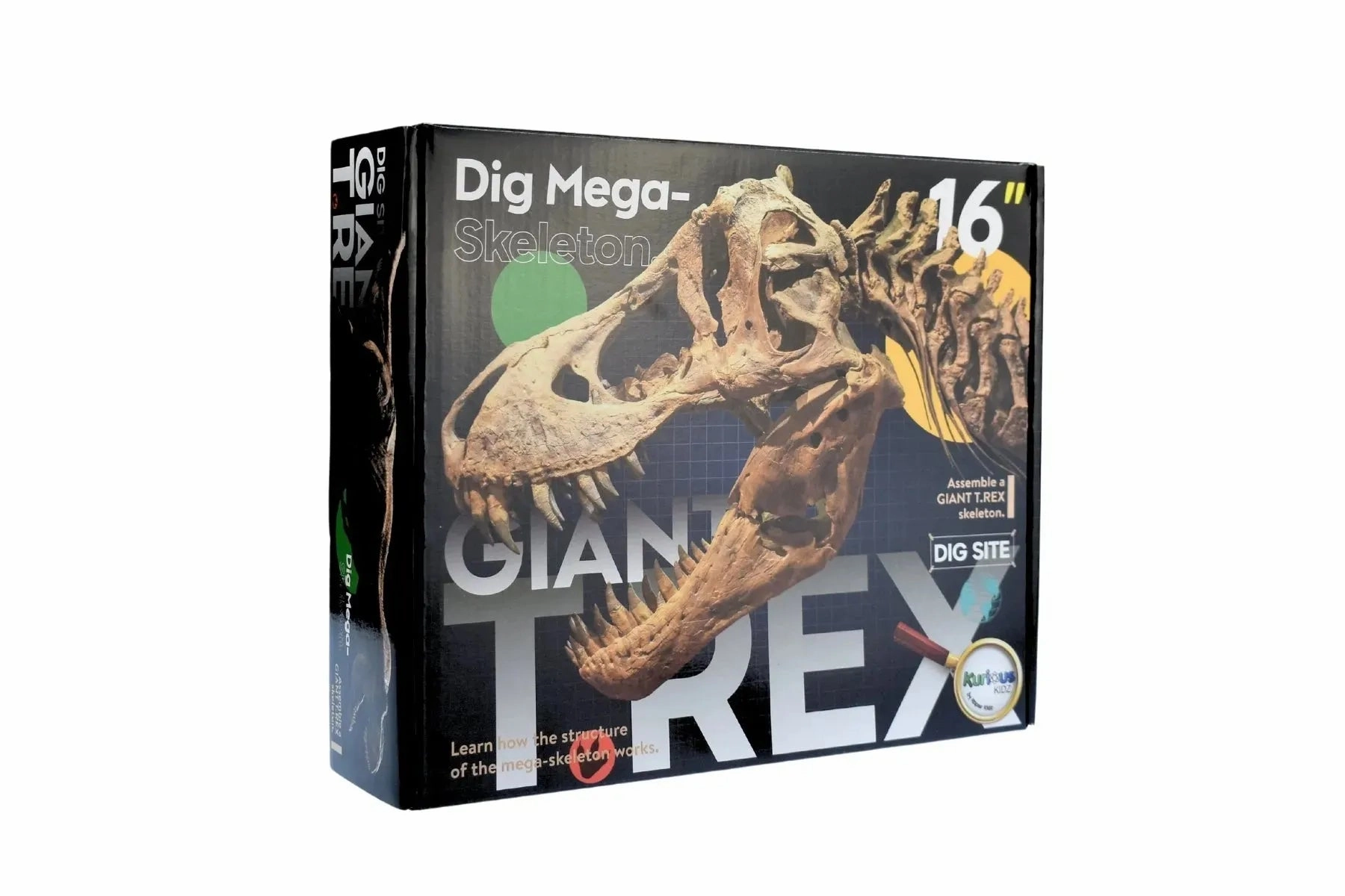 Kaper Kidz Toys Giant T-Rex Dig Site