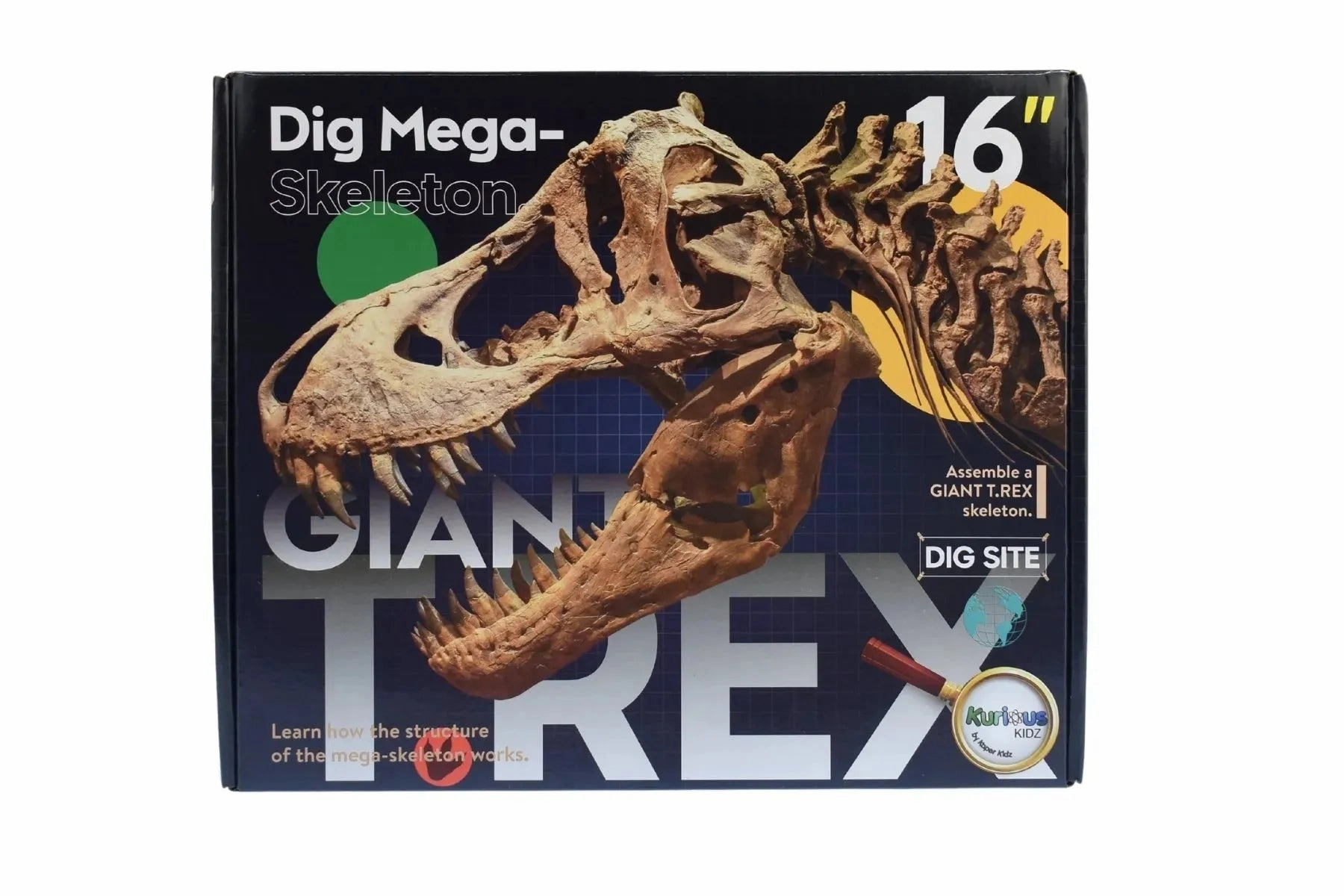Kaper Kidz Toys Giant T-Rex Dig Site