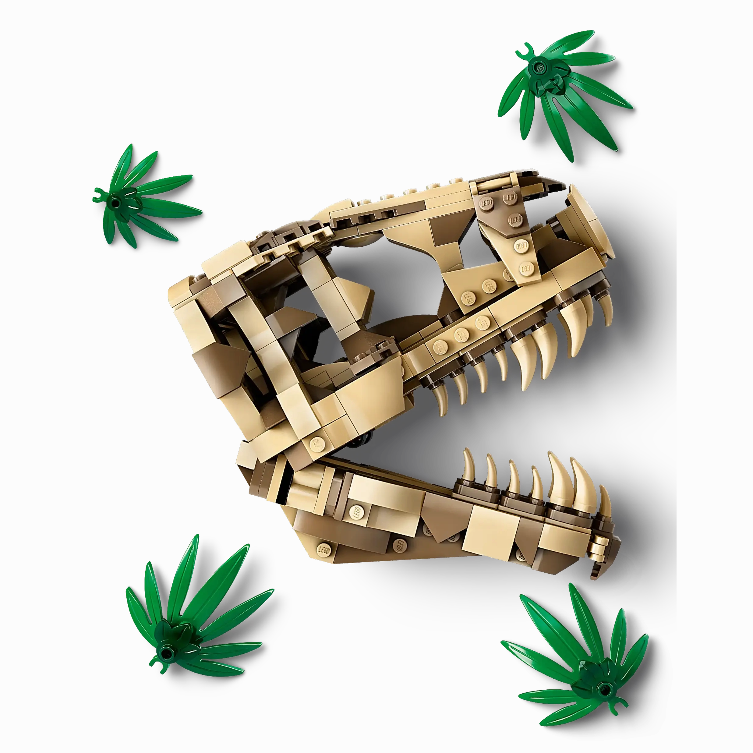 LEGO JURASSIC WORLD 76964 Dinosaur Fossils T Rex Skull