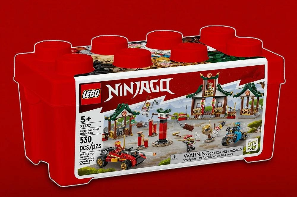 LEGO NINJAGO 71787 Creative Ninja Brick Box