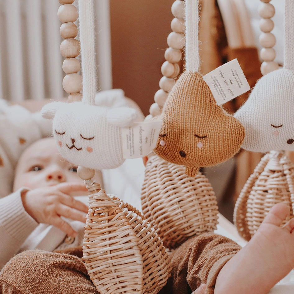 Main Sauvage Baby Gym Toy - Hanging Rattle - Teddy