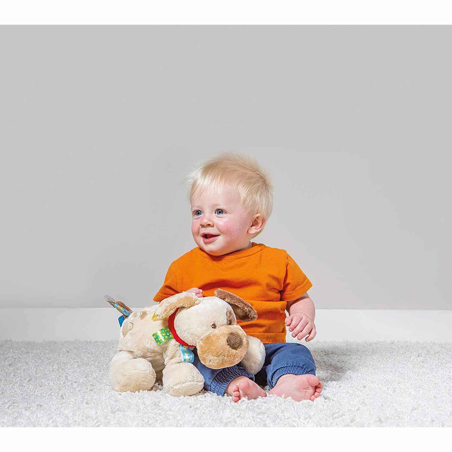 Mary Meyer Toys Mary Meyer Taggies Buddy Dog Soft Toy