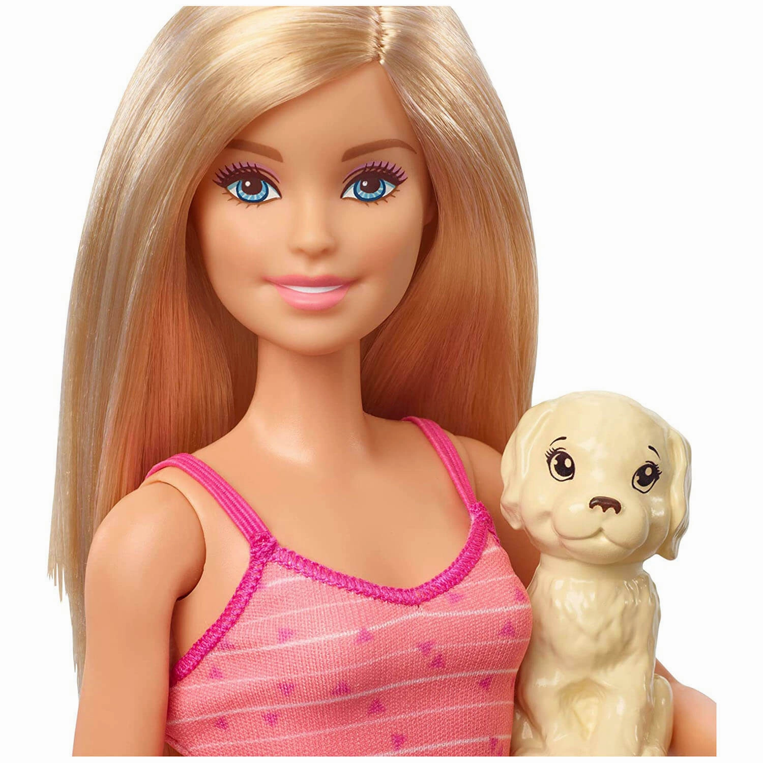 Mattel Toys Barbie Doll With Pets and Accessories