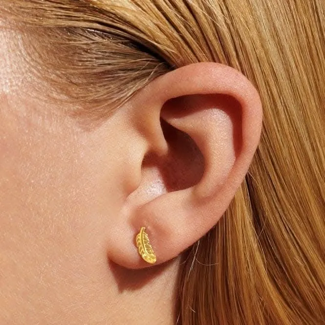 Boucles d'oreilles plaquées or Mini Charms Plume 7057 Joma Jewellery