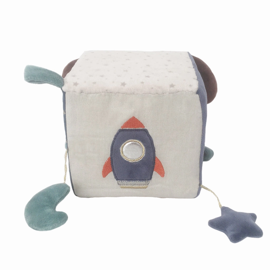 Mon Ami Astro Dog Activity Cube