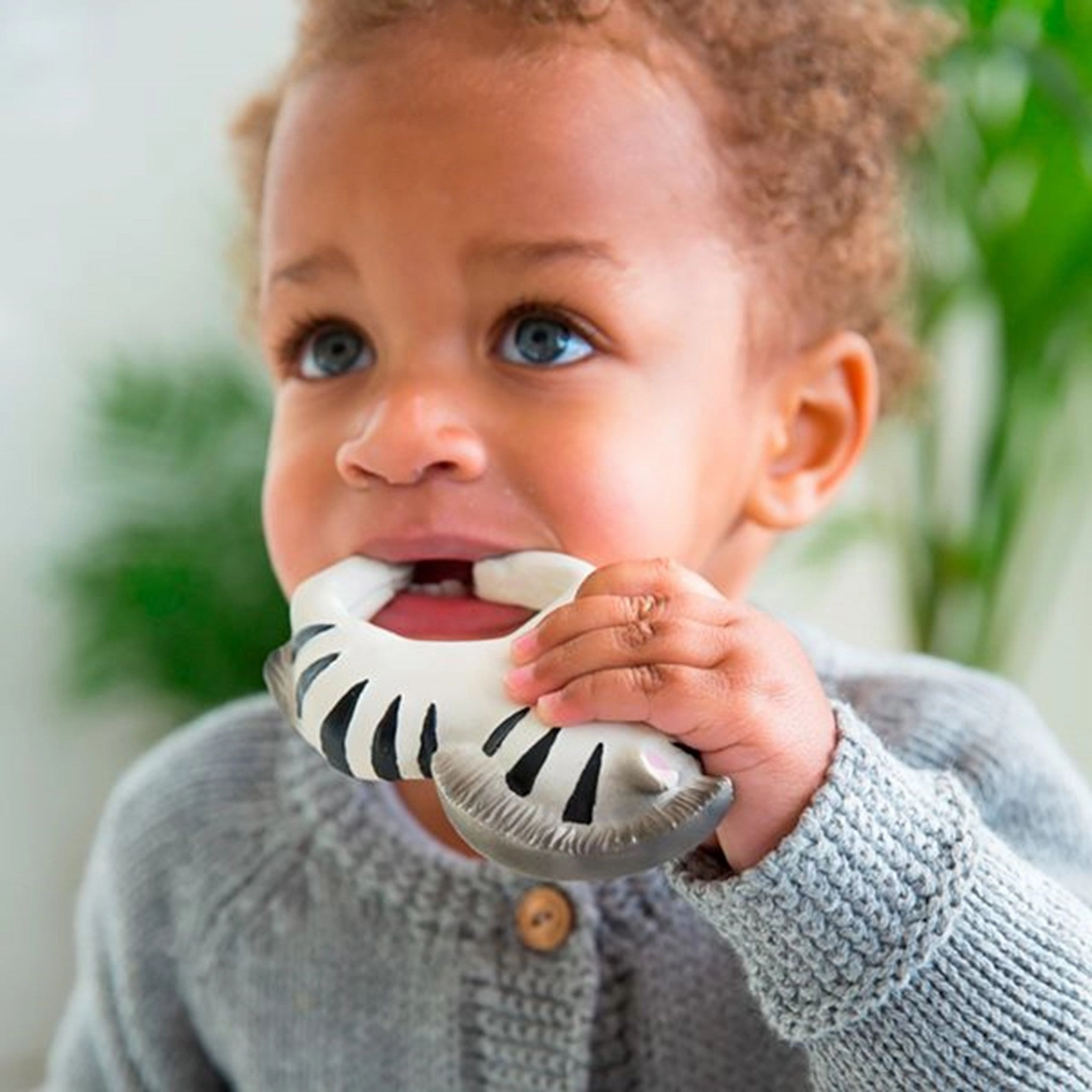 Oli & Carol Bracelet in Nature Rubber Zoe the Zebra