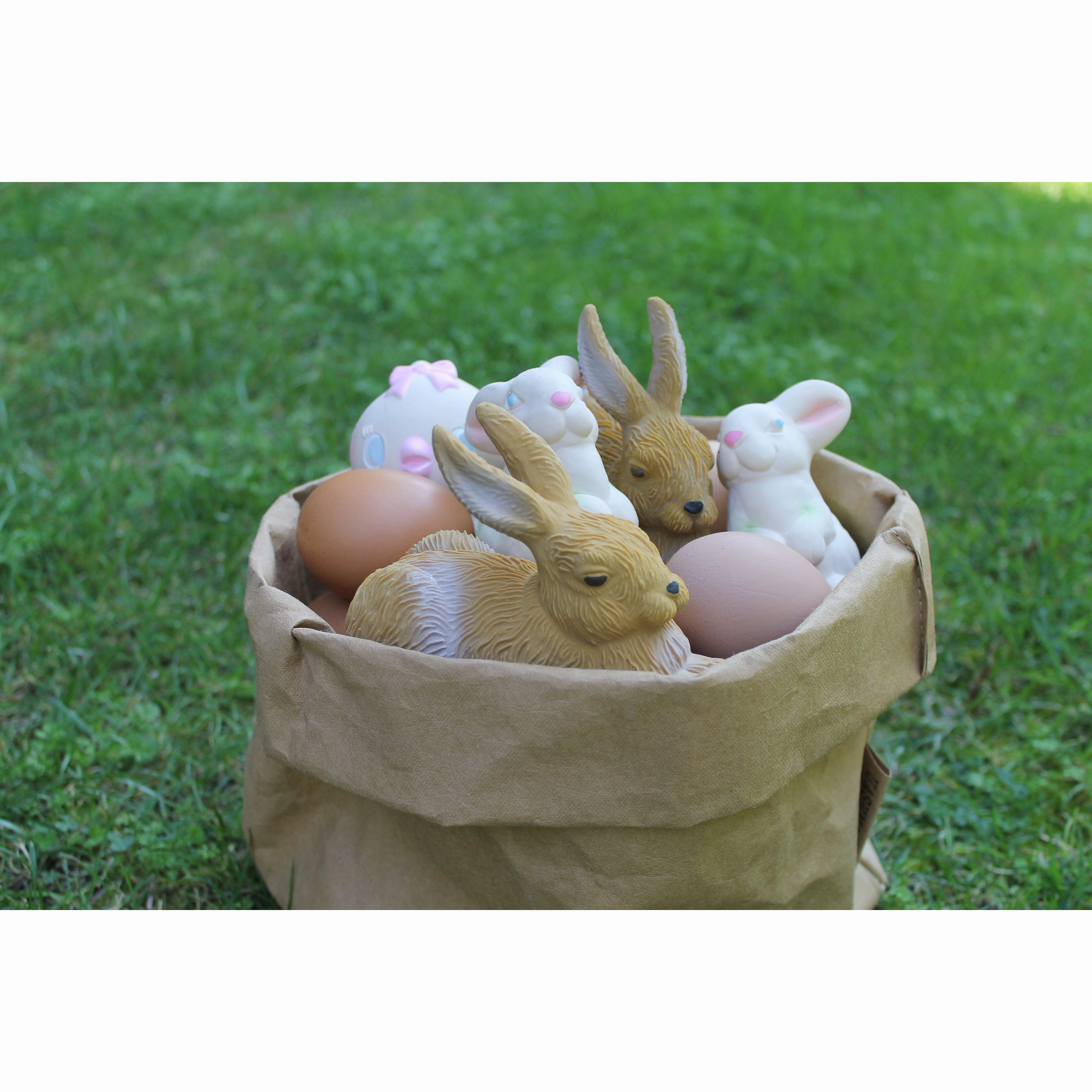 Oli & Carol Forest Collection: Rabbit and Mushrooms Teether