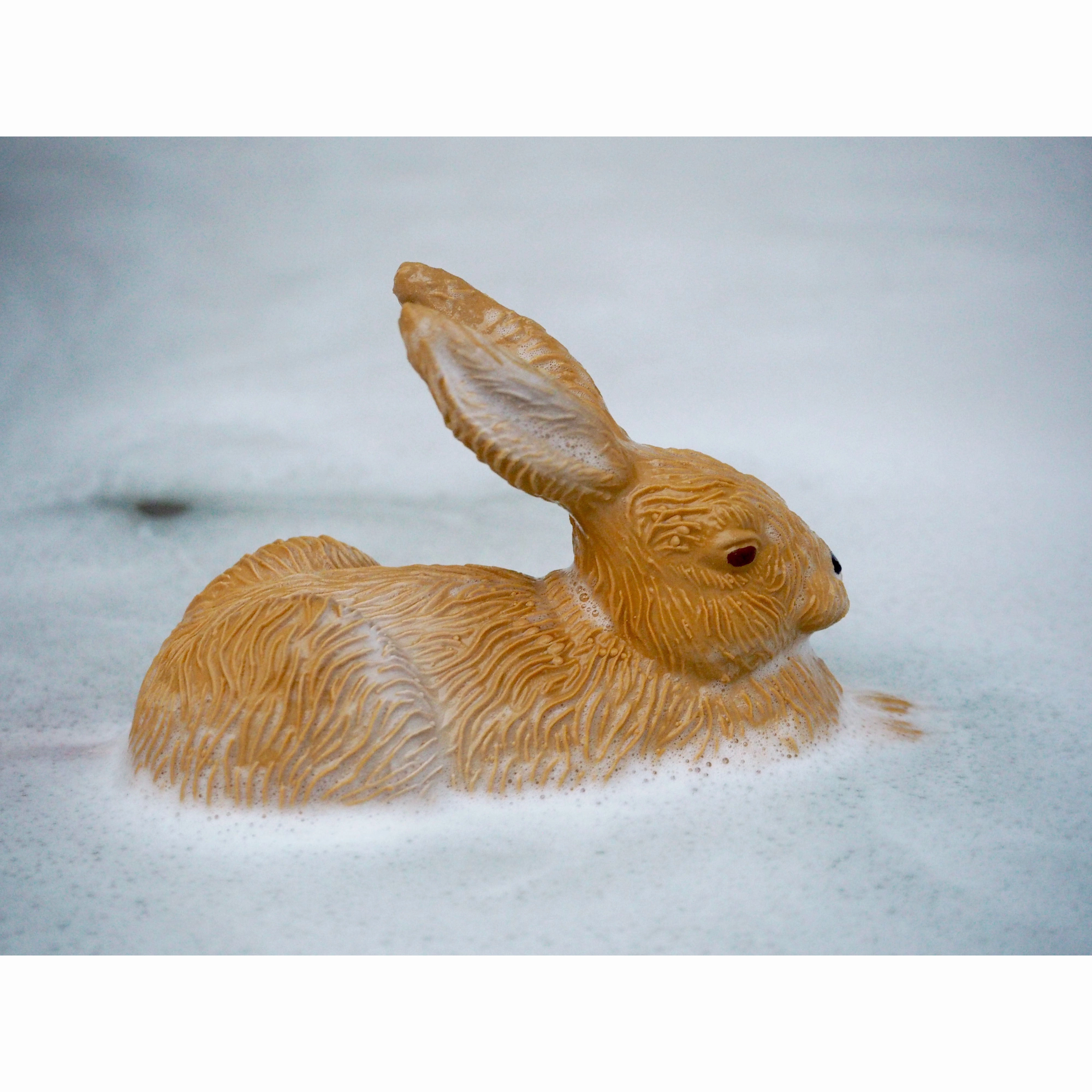 Oli & Carol Forest Collection: Rabbit and Mushrooms Teether