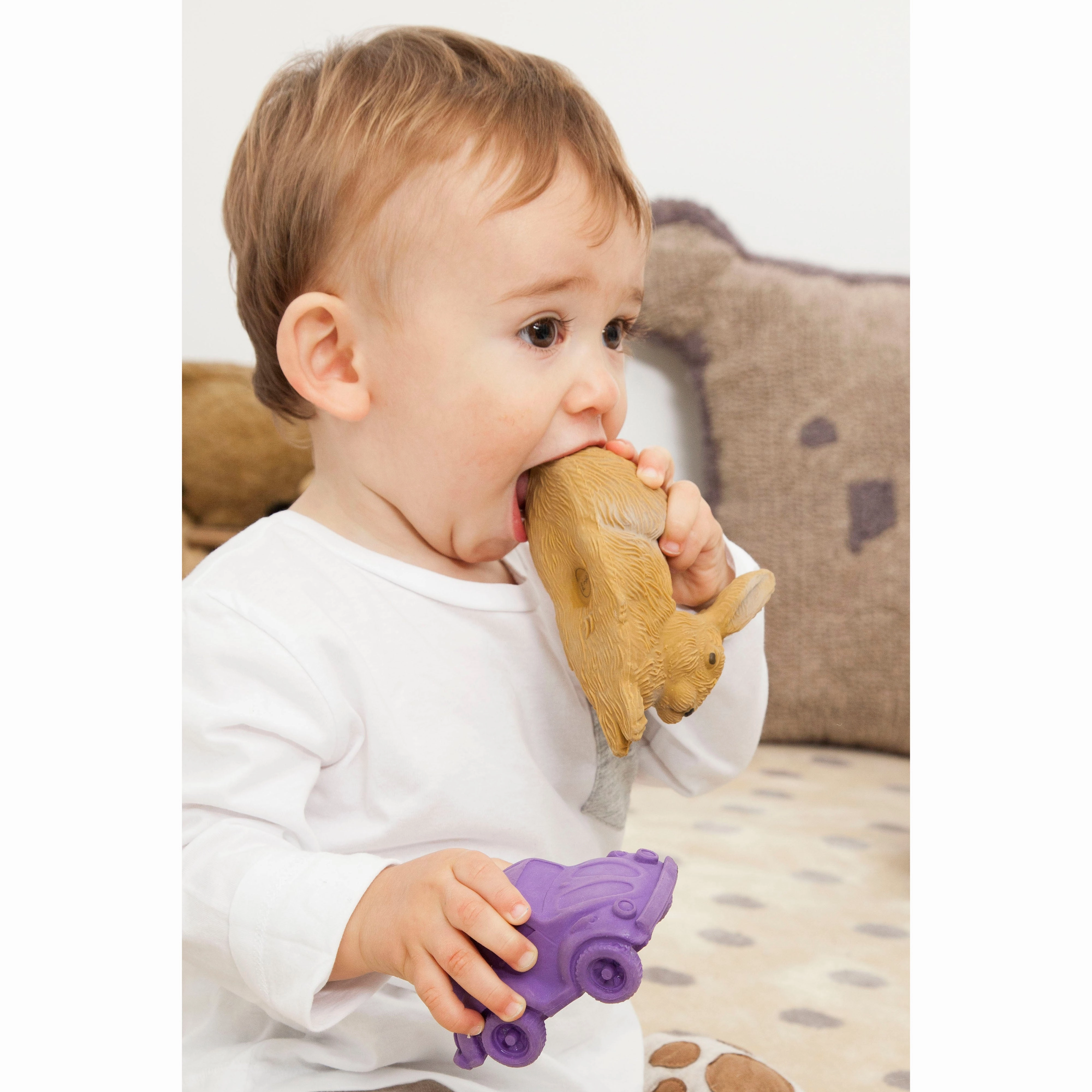 Oli & Carol Forest Collection: Rabbit and Mushrooms Teether