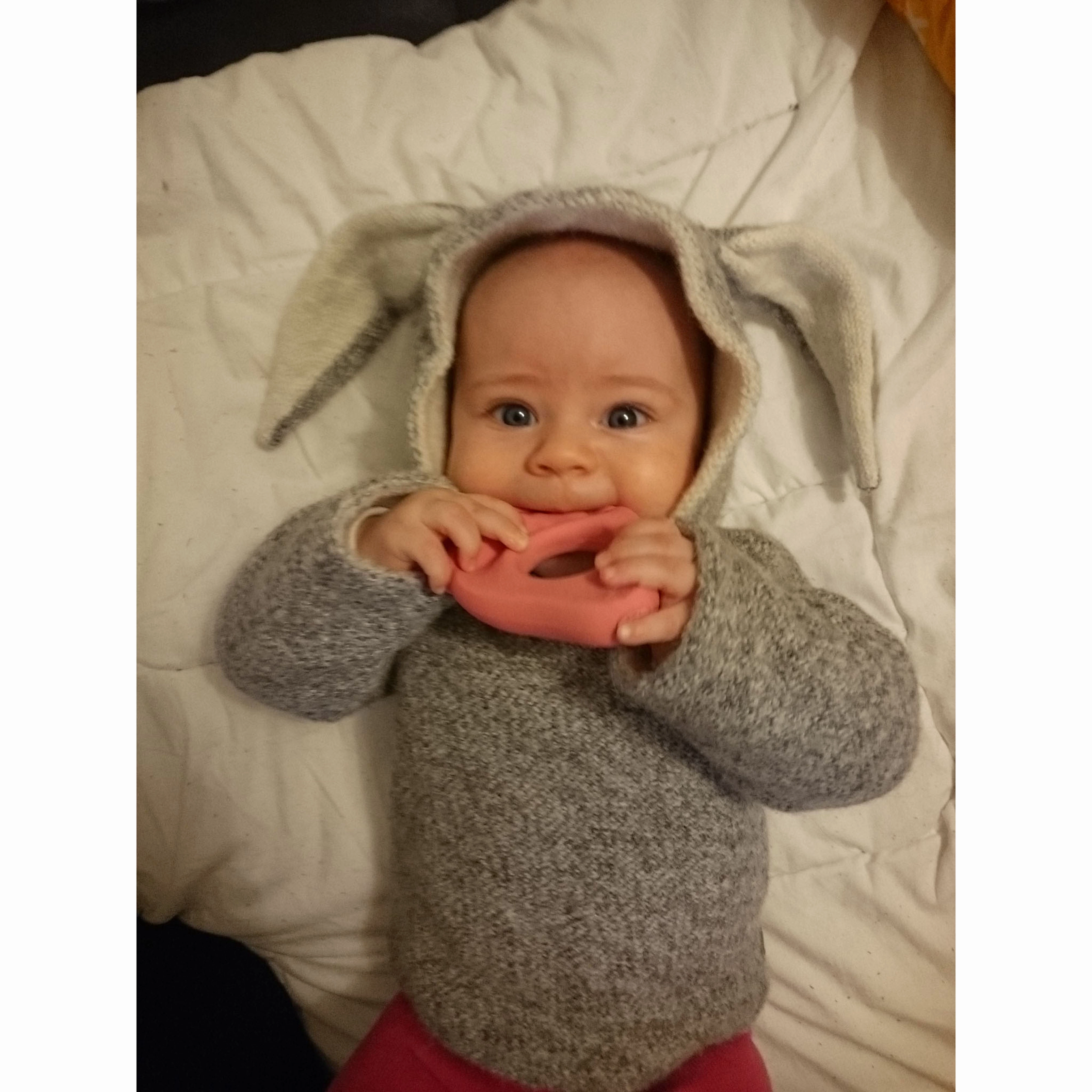 Oli & Carol Fruit Shape Teething Ring: Apple, Pear and Strawberry Teether