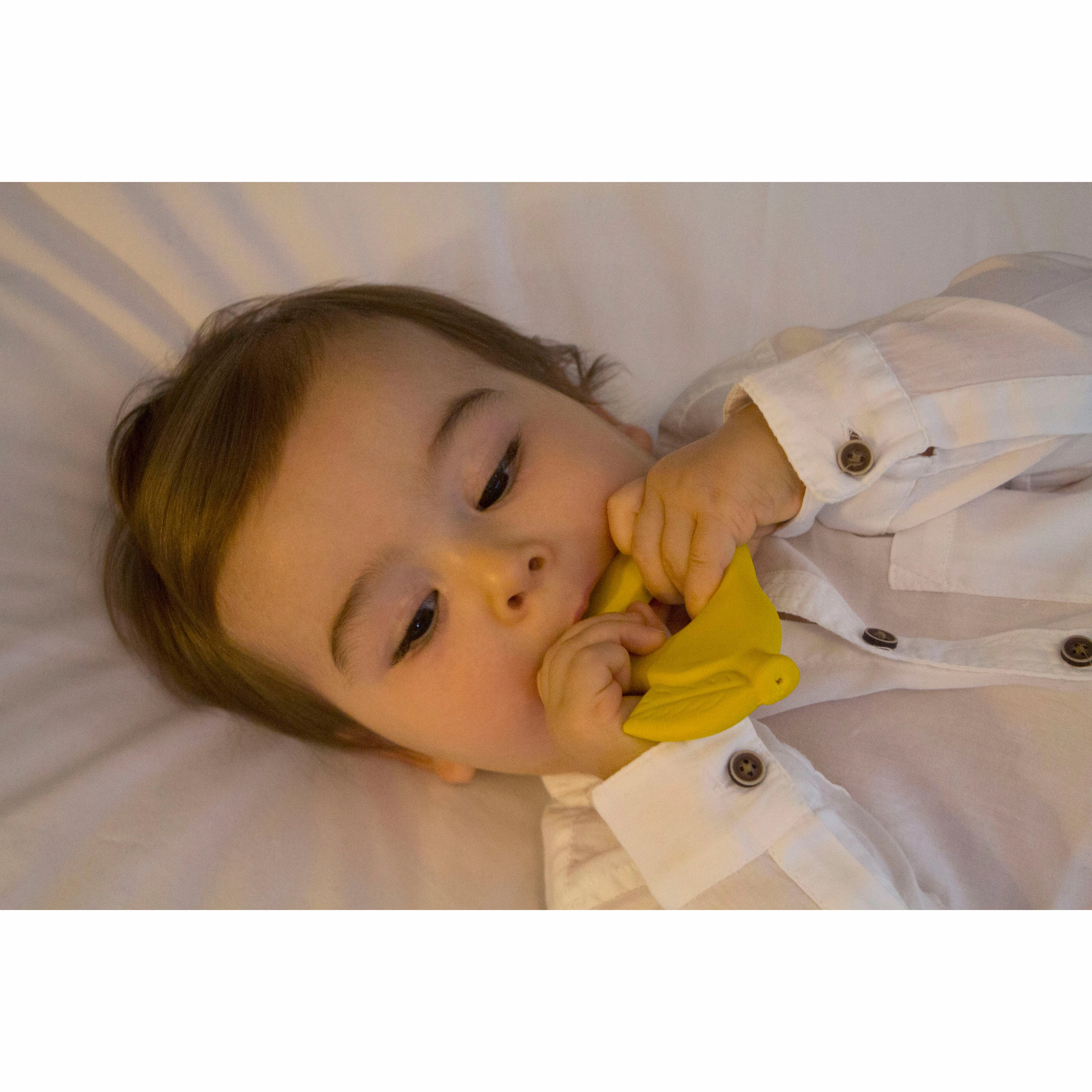 Oli & Carol Fruit Shape Teething Ring: Apple, Pear and Strawberry Teether