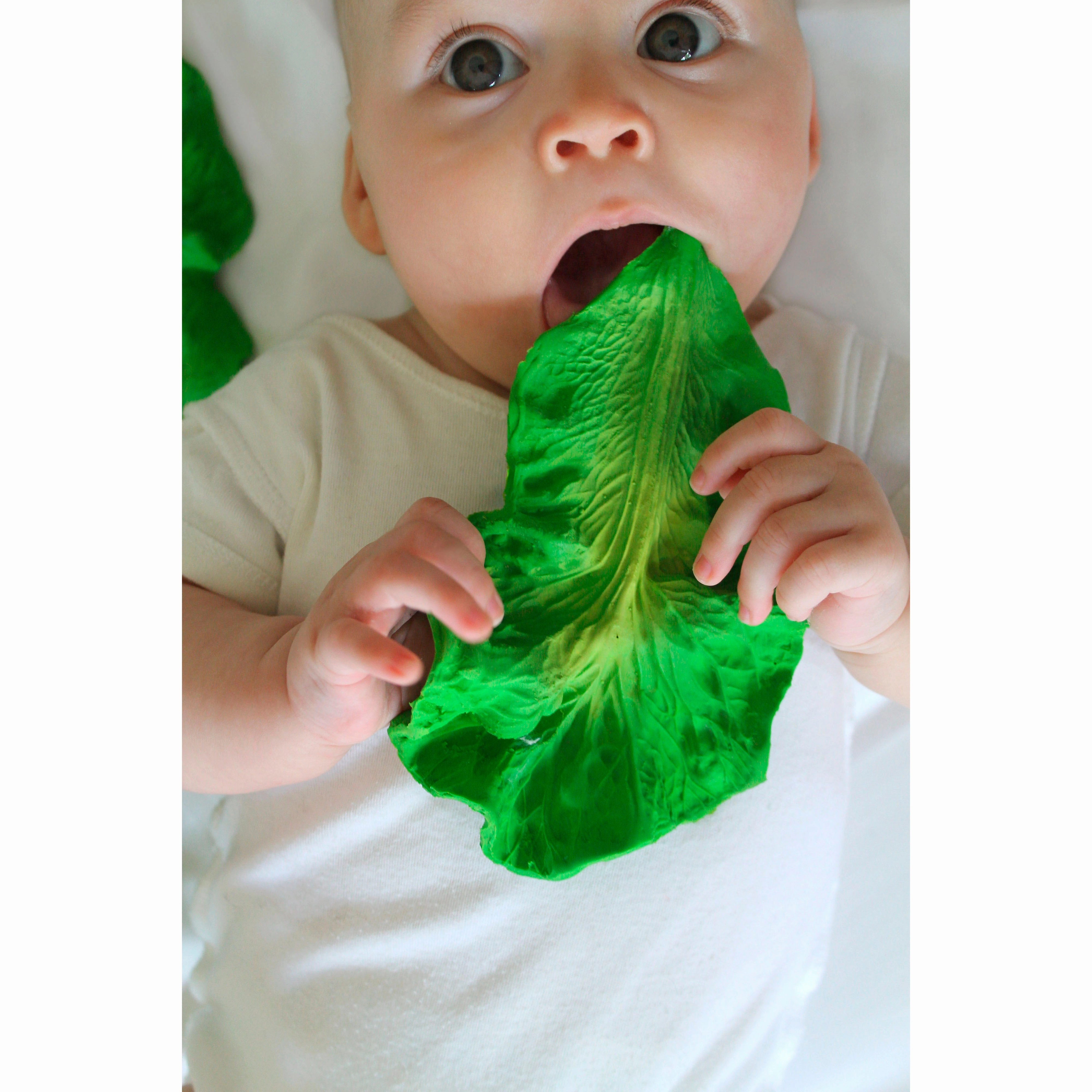 Oli & Carol Kendall the Kale Teether