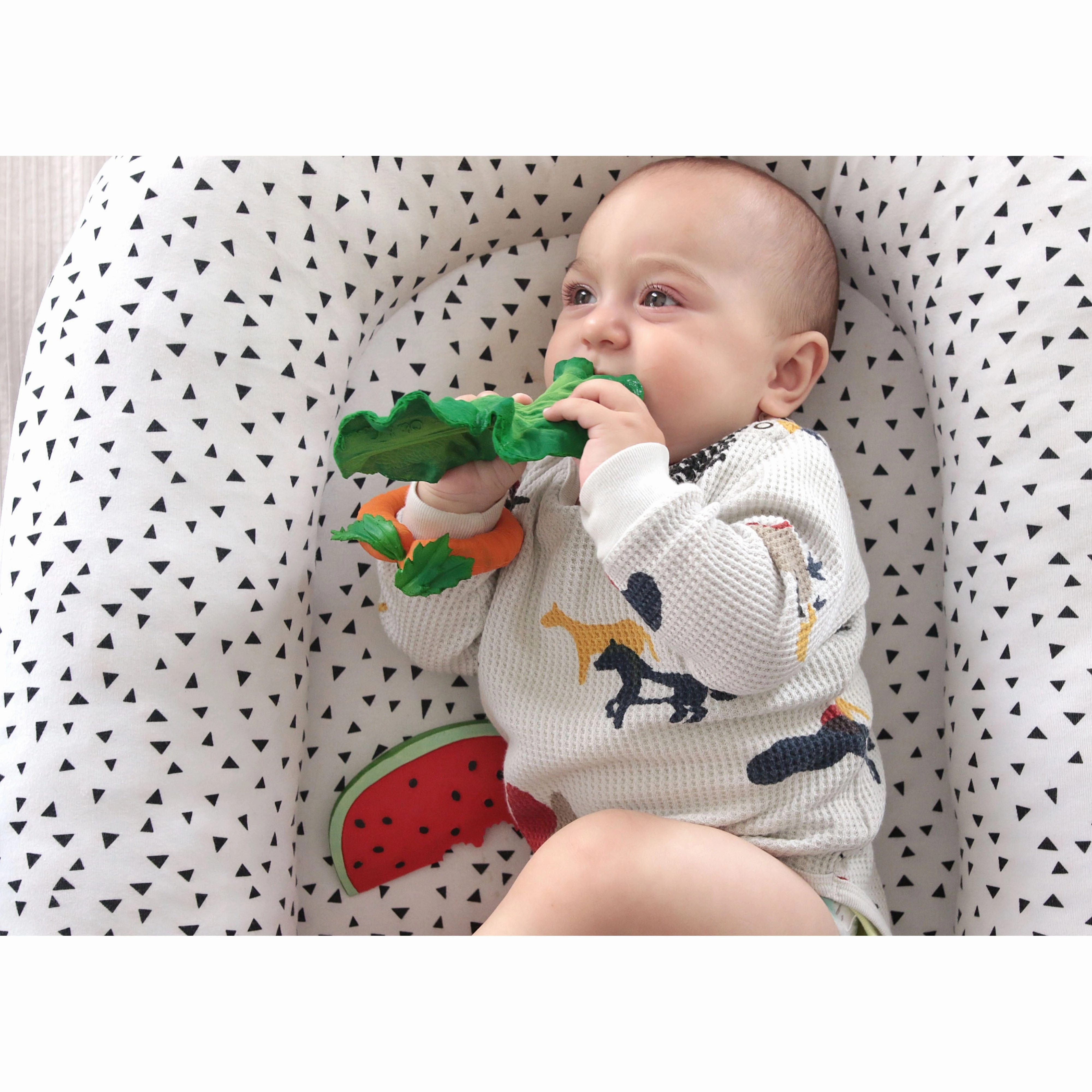 Oli & Carol Kendall the Kale Teether
