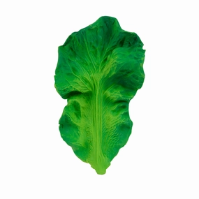 Oli & Carol Kendall the Kale Teether
